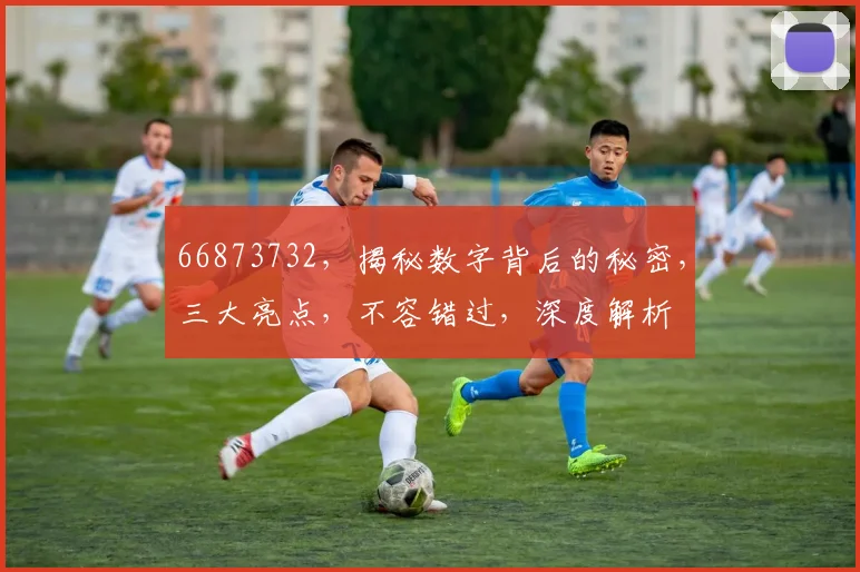 66873732，揭秘数字背后的秘密，三大亮点，不容错过，深度解析