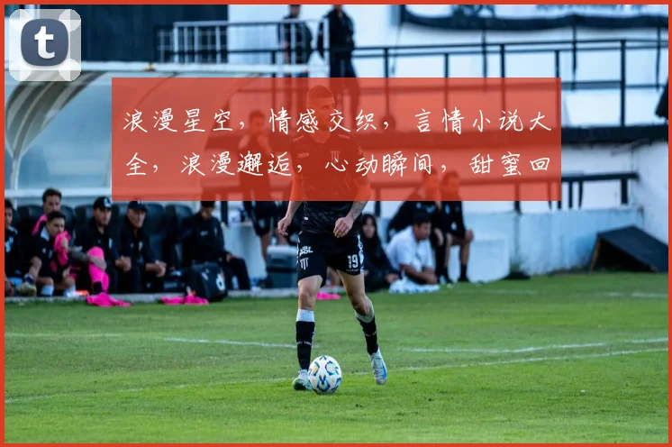 浪漫星空，情感交织，言情小说大全，浪漫邂逅，心动瞬间，甜蜜回忆。