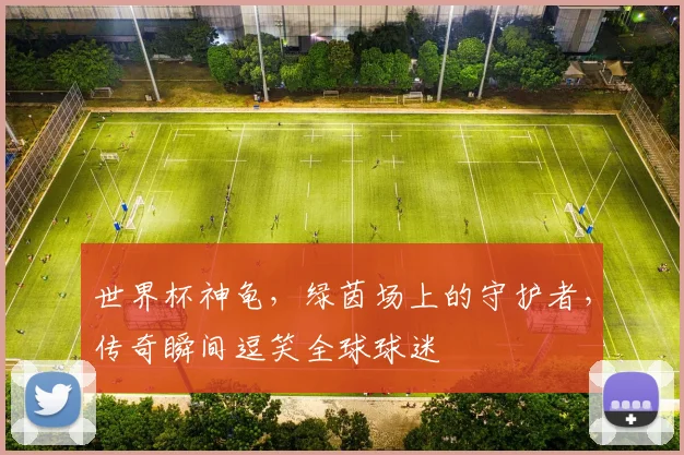 世界杯神龟，绿茵场上的守护者，传奇瞬间逗笑全球球迷